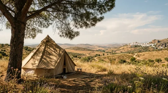 Campeur se reposant à l'ombre d'un arbre méditerranéen pendant la chaleur estivale andalouse