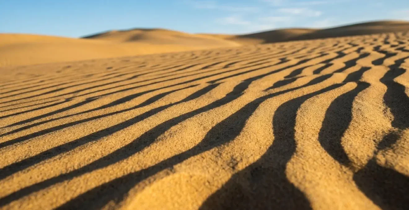 Longues plages de sable du Languedoc avec dunes naturelles préservées, symbole du tourisme accessible