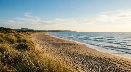 Large plage de sable fin méditerranéenne sous le soleil du Languedoc, parfaite pour des vacances en famille
