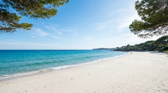 Plage paradisiaque de sable blanc et eau turquoise en France métropolitaine