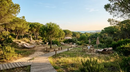Couple découvrant un environnement naturiste paisible entouré de nature